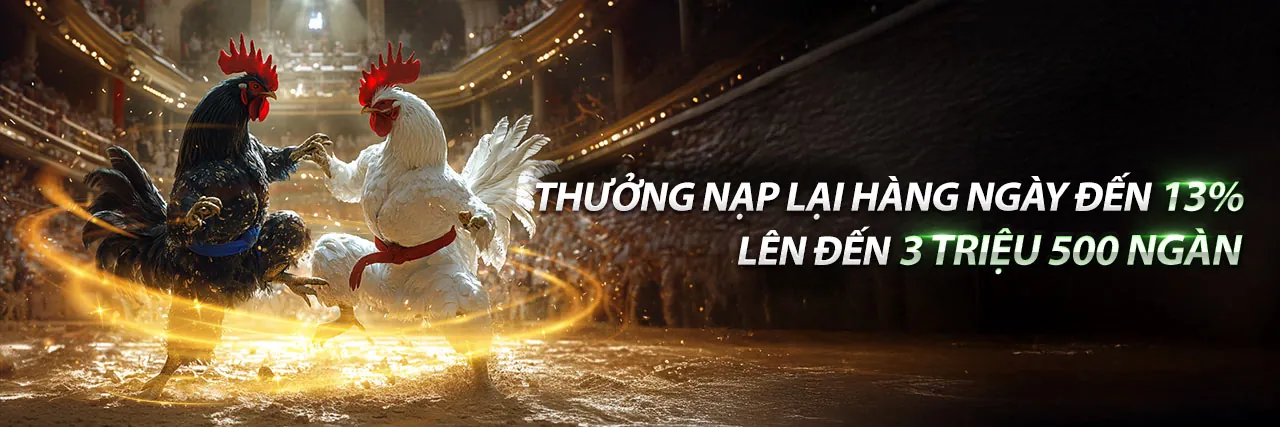 Các chương trình khuyến mãi độc quyền tại B29